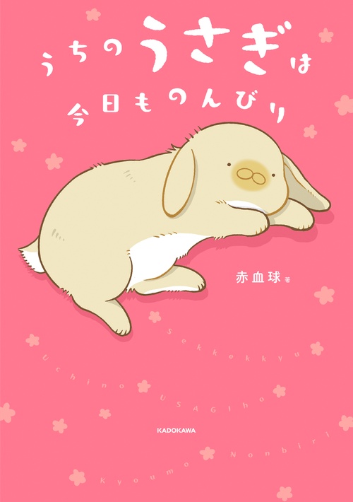 うちのうさぎは今日ものんびり
