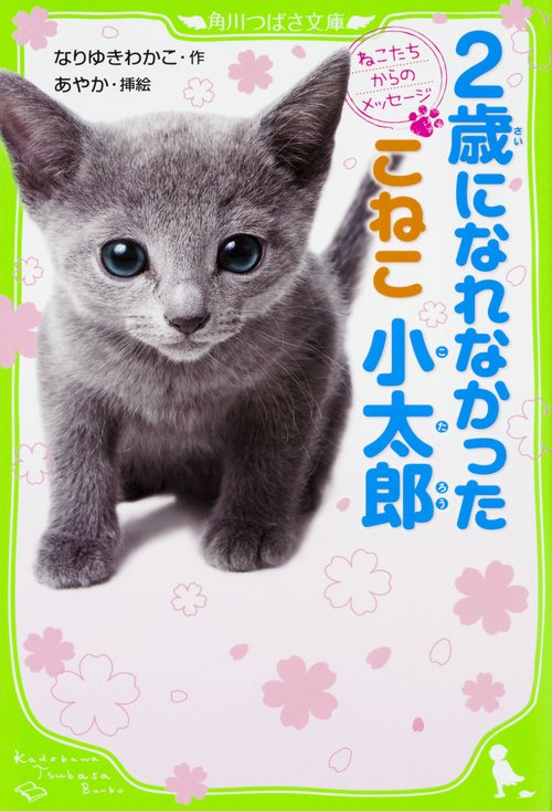 ねこたちからのメッセージ  ２歳になれなかったこねこ 小太郎
