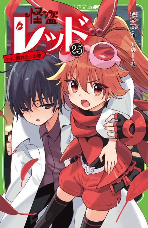 怪盗レッド２５ ケイ、倒れる☆の巻