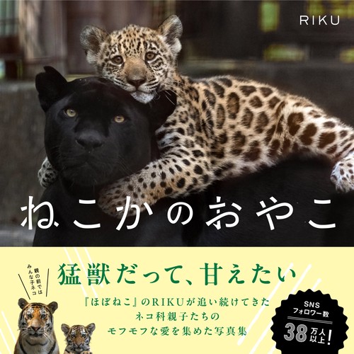 ねこかのおやこ