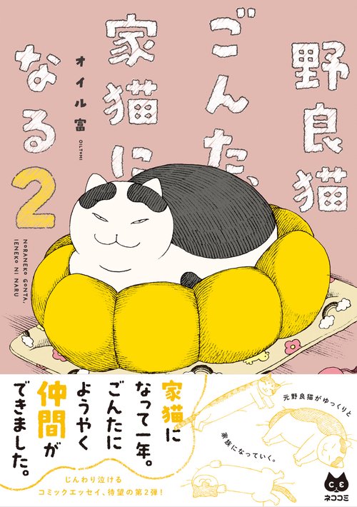 野良猫ごんた、家猫になる２