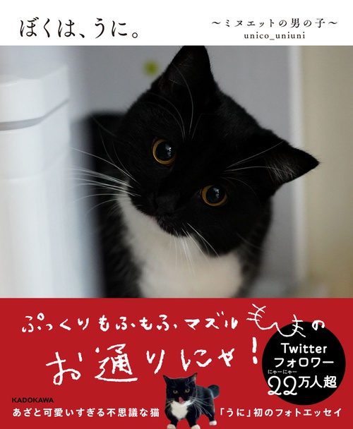 ぼくは、うに。ミヌエットの男の子