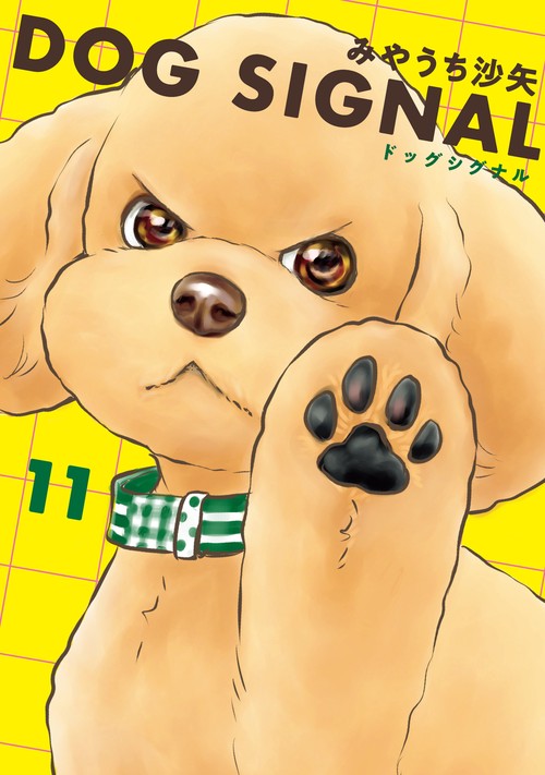 DOG　SIGNAL　11