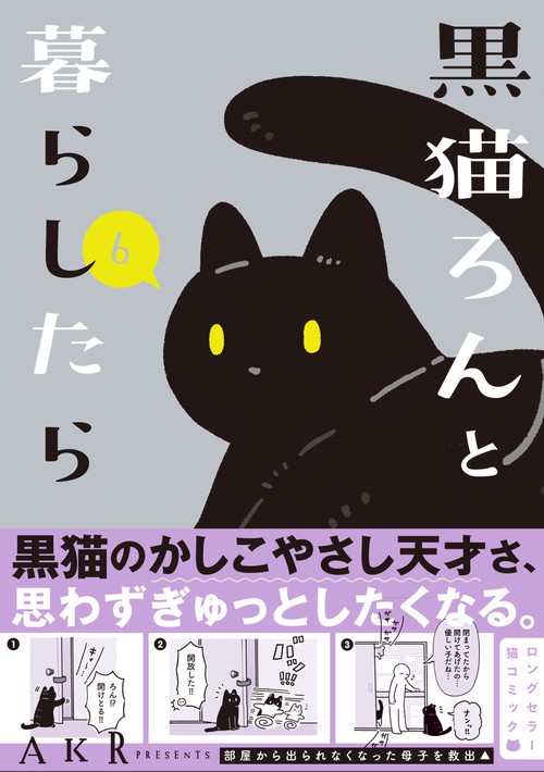 黒猫ろんと暮らしたら６