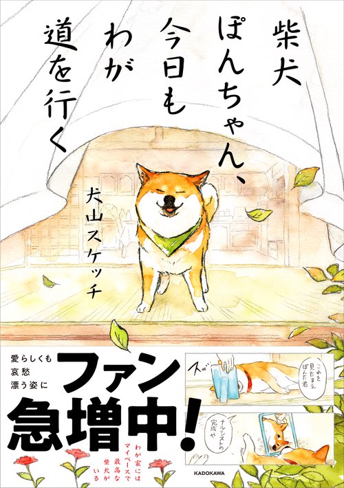 柴犬ぽんちゃん、今日もわが道を行く – 丸善ジュンク堂書店ネットストア