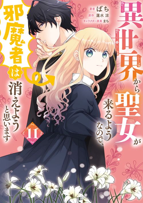 異世界から聖女が来るようなので、邪魔者は消えようと思います　11