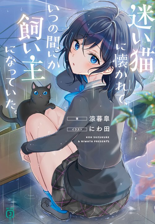 迷い猫に懐かれて、いつの間にか飼い主になっていた。