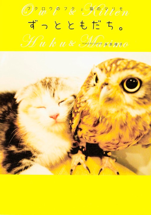 ずっとともだち。 フクロウのフクと猫のマリモ