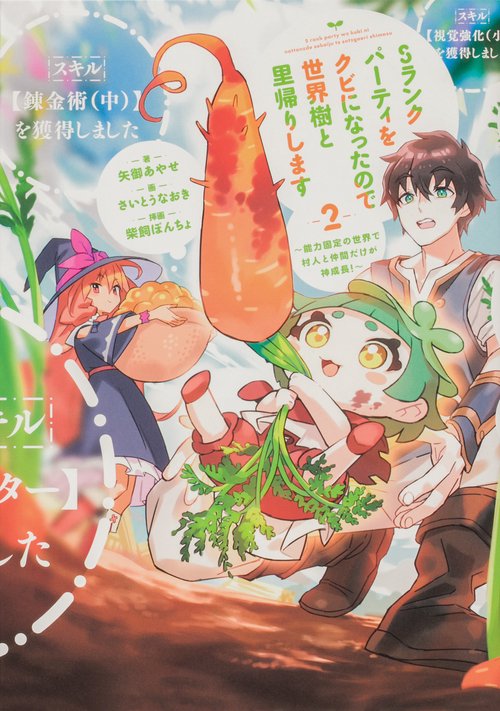 Sランクパーティをクビになったので世界樹と里帰りします　２ 能力固定の世界で村人と仲間だけが神成長！