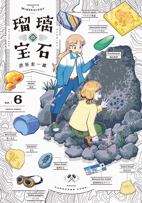 瑠璃の宝石 6