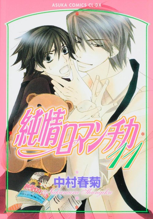 純情ロマンチカ　第１１巻