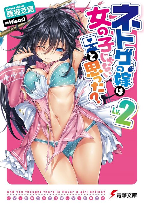 ネトゲの嫁は女の子じゃないと思った？　Ｌｖ．２