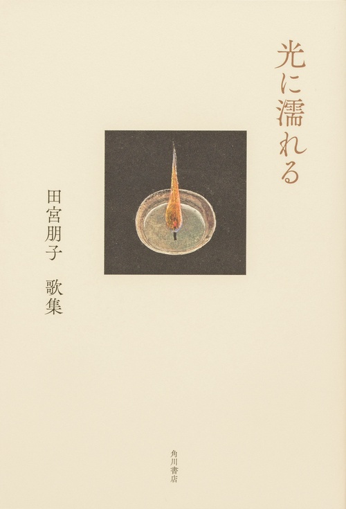 歌集　光に濡れる