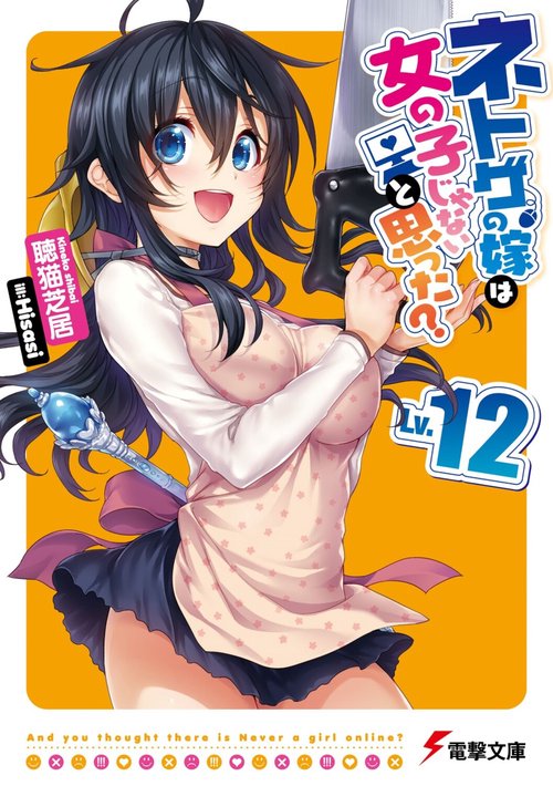 ネトゲの嫁は女の子じゃないと思った?　Lv.12