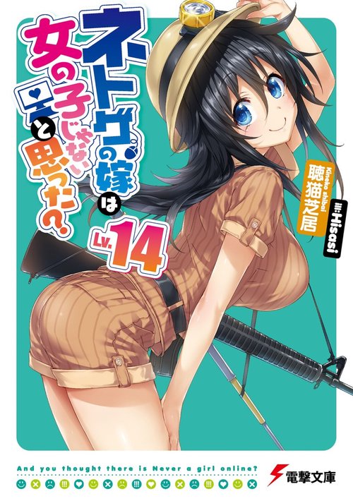 ネトゲの嫁は女の子じゃないと思った？　Lv.14