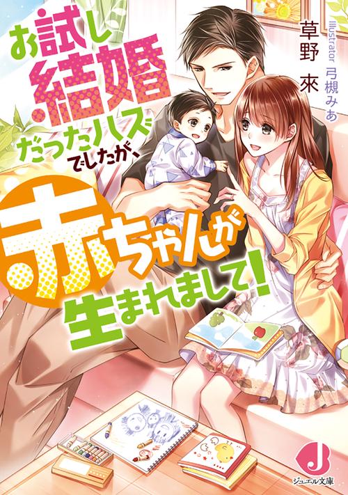お試し結婚だったハズでしたが、赤ちゃんが生まれまして!