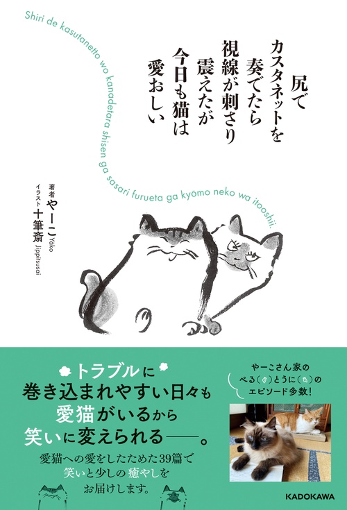 尻でカスタネットを奏でたら視線が刺さり震えたが今日も猫は愛おしい