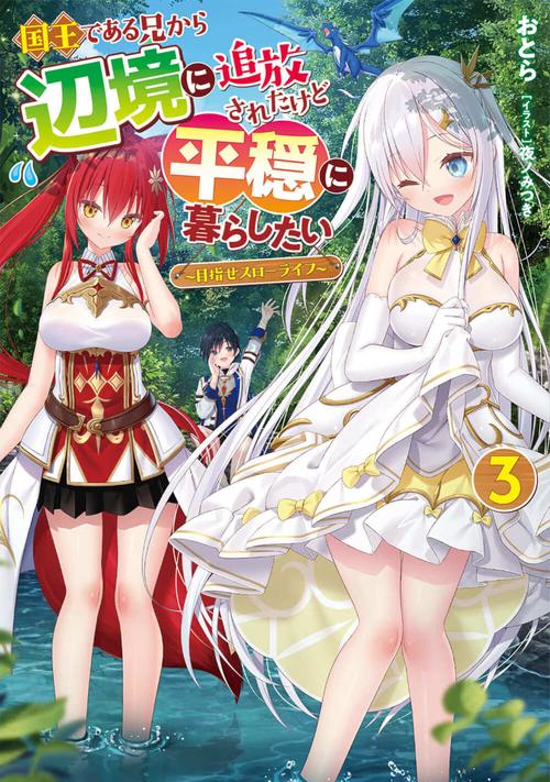 国王である兄から辺境に追放されたけど平穏に暮らしたい（３） 目指せスローライフ
