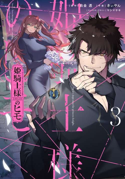 姫騎士様のヒモ（3）