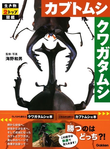 カブトムシクワガタムシ