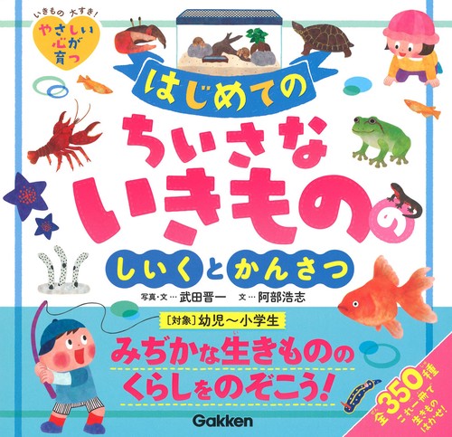 はじめてのちいさないきもののしいくとかんさつ 全350種