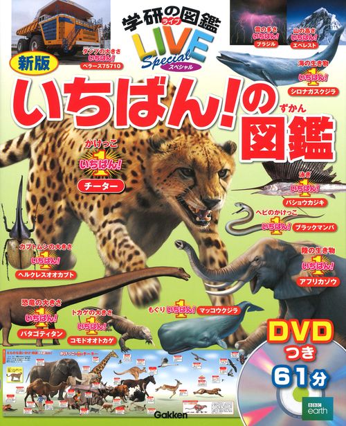 いちばん!の図鑑