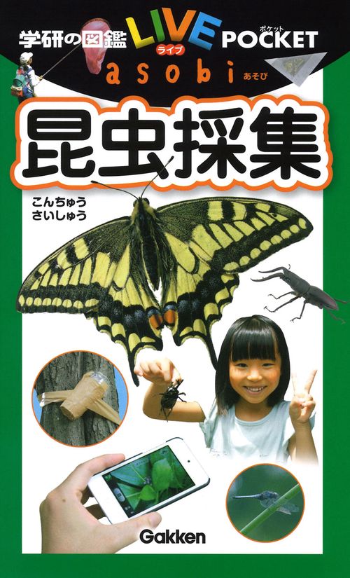 昆虫採集