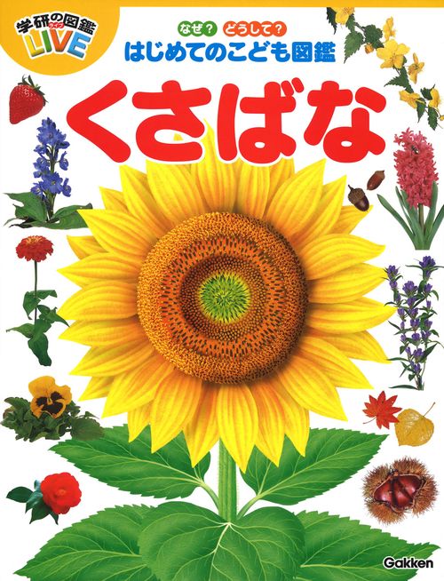 なぜ？どうして？はじめてのこども図鑑　くさばな