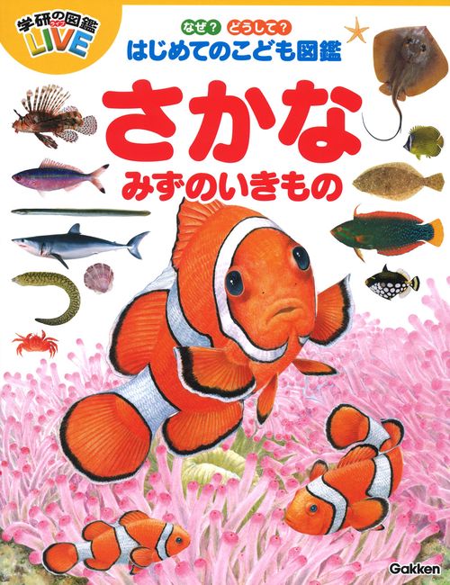 なぜ？どうして？はじめてのこども図鑑　さかな・みずのいきもの