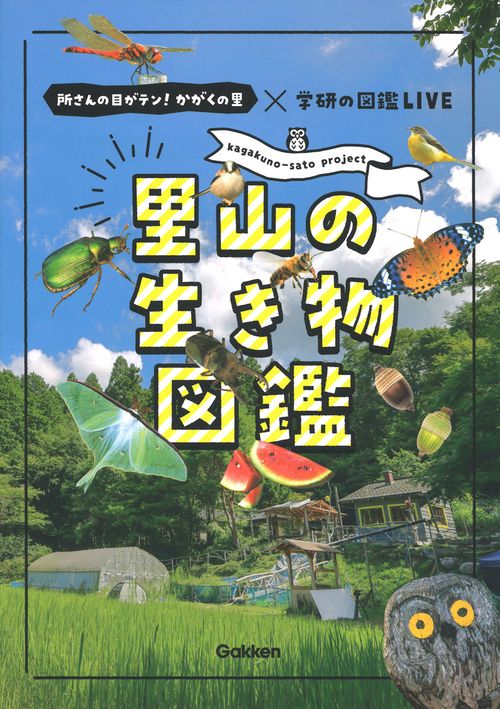 里山の生き物図鑑