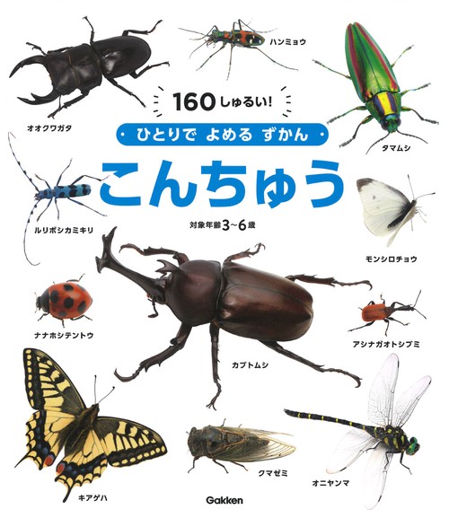 こんちゅう