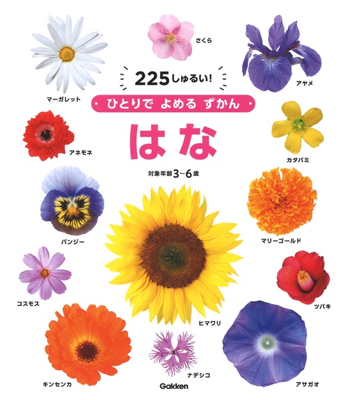 はな