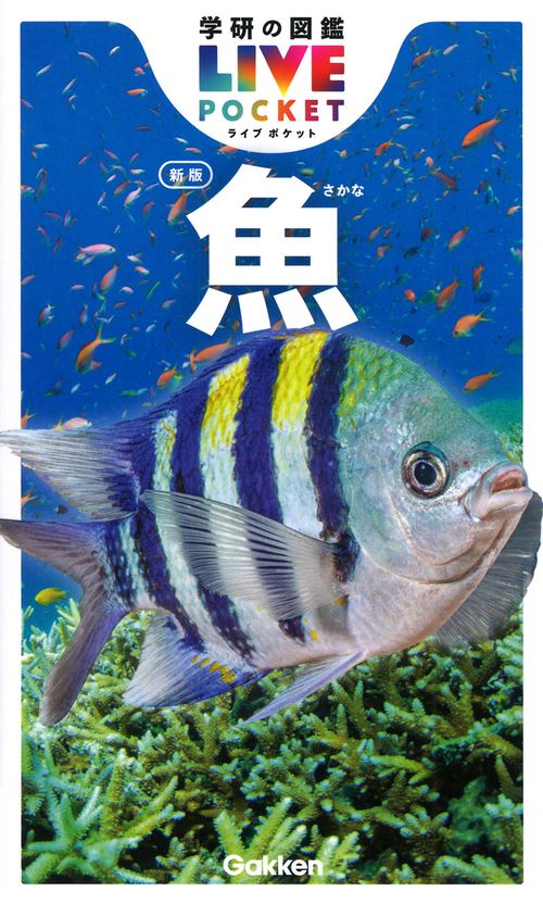 魚　新版