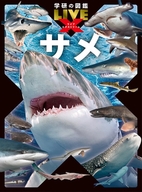 サメ