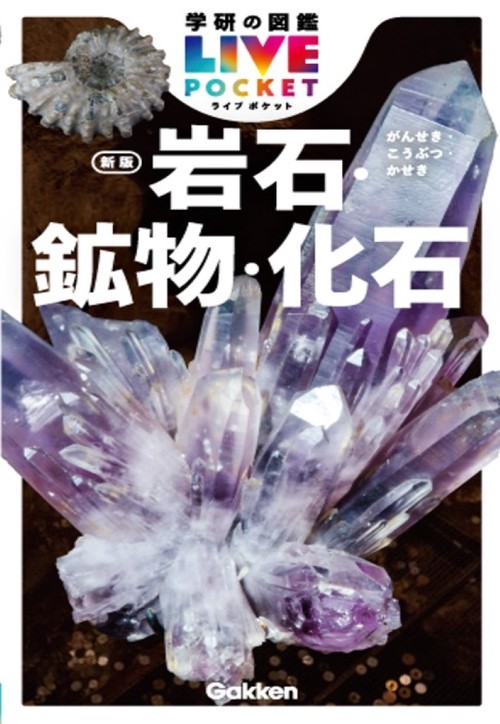 岩石・鉱物・化石　新版