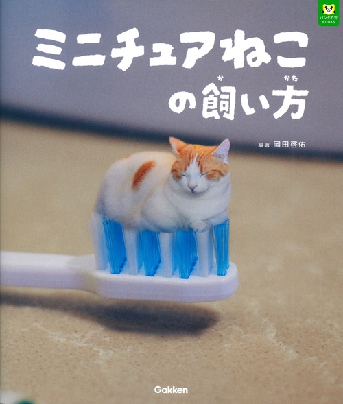 ミニチュアねこの飼い方