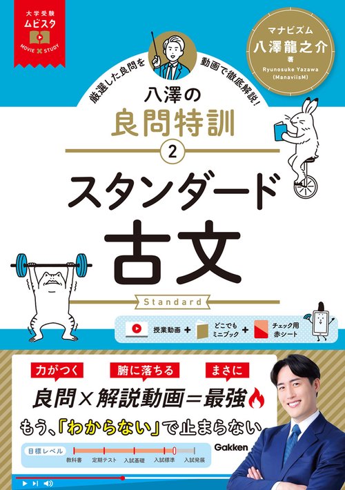 大学受験ムビスタ　八澤の良問特訓【２】　スタンダード古文