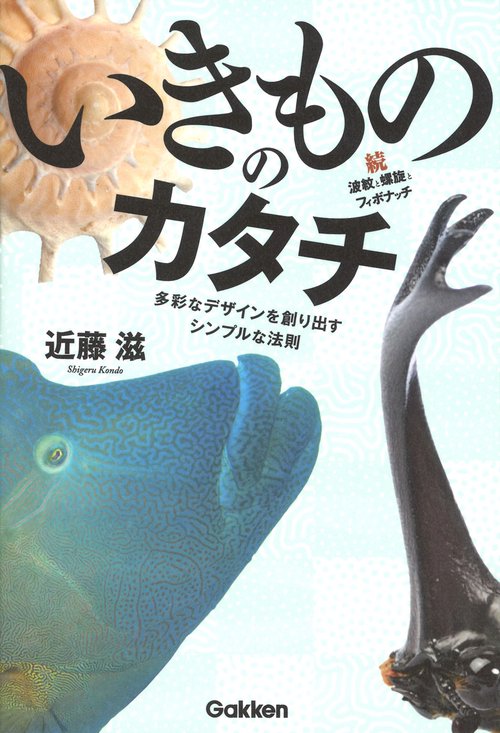 いきもののカタチ　続・波紋と螺旋とフィボナッチ