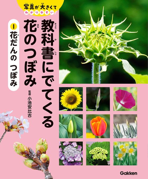 １　花だんの　つぼみ