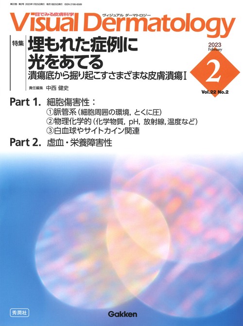 Ｖｉｓｕａｌ　Ｄ．　２０２３年２月号　Ｖｏｌ．２２　Ｎｏ．２