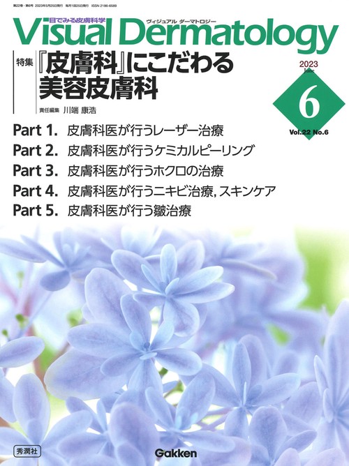Ｖｉｓｕａｌ　Ｄ．　２０２３年６月号　Ｖｏｌ．２２　Ｎｏ．６