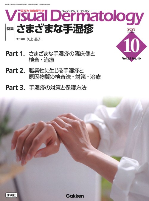 Ｖｉｓｕａｌ　Ｄ．　２０２３年１０月号　Ｖｏｌ．２２　Ｎｏ．１０