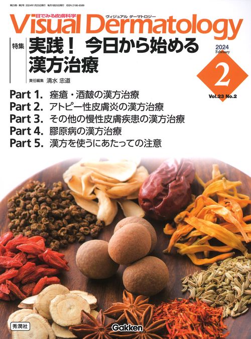 Ｖｉｓｕａｌ　Ｄ．　２０２４年２月号　Ｖｏｌ．２３　Ｎｏ．２