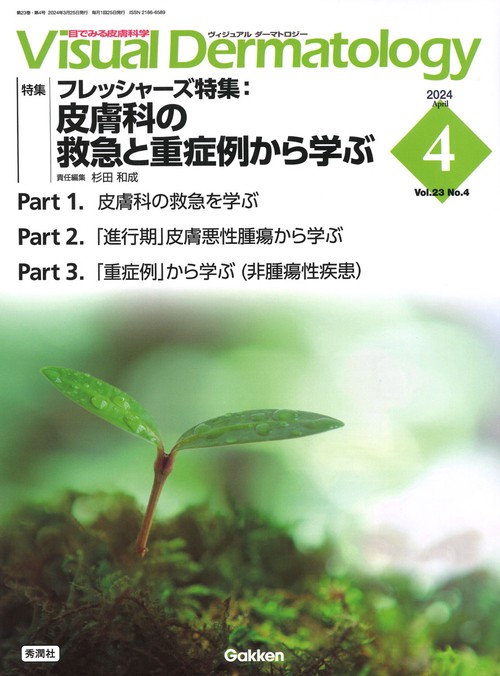 Ｖｉｓｕａｌ　Ｄ．　２０２４年４月号　Ｖｏｌ．２３　Ｎｏ．４