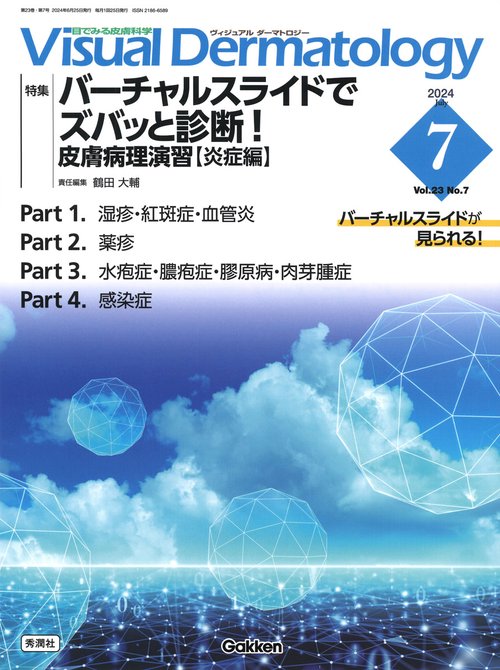 Ｖｉｓｕａｌ　Ｄ．　２０２４年７月号　Ｖｏｌ．２３　Ｎｏ．７
