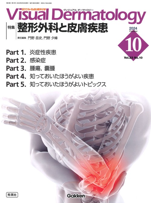 Ｖｉｓｕａｌ　Ｄ．　２０２４年１０月号　Ｖｏｌ．２３　Ｎｏ．１０