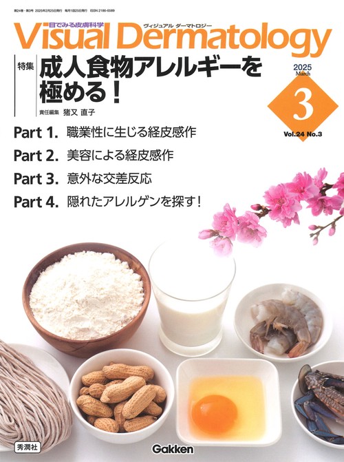 Ｖｉｓｕａｌ　Ｄ．　２０２５年３月号　Ｖｏｌ．２４　Ｎｏ．３