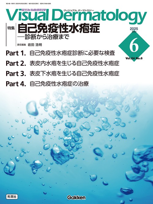 Ｖｉｓｕａｌ　Ｄ．　２０２５年６月号　Ｖｏｌ．２４　Ｎｏ．６