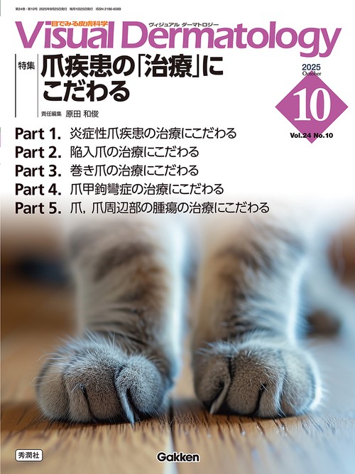 Ｖｉｓｕａｌ　Ｄ．　２０２５年１０月号　Ｖｏｌ．２４　Ｎｏ．１０