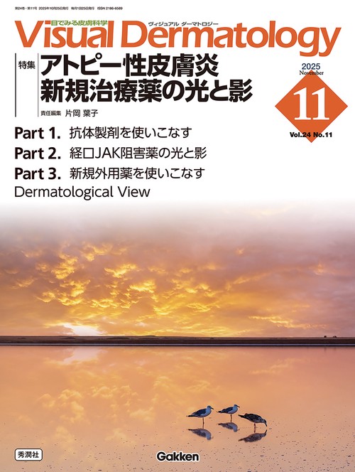 Ｖｉｓｕａｌ　Ｄ．　２０２５年１１月号　Ｖｏｌ．２４　Ｎｏ．１１